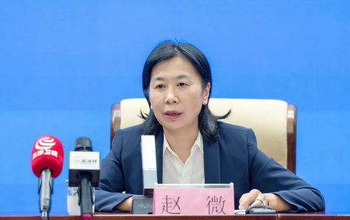 首屆中國 海南 人才交流大會新聞發布會