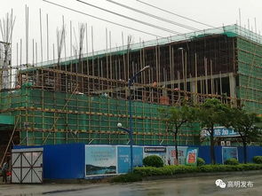 全國首創 高明新肉聯廠建三層屠宰車間,預計5月底投用