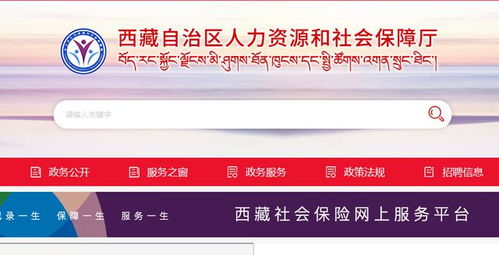 西藏印發(fā)通知 穩(wěn)崗位 提技能 防失業(yè)