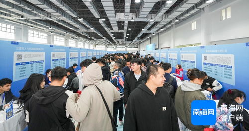 組圖丨 才 聚瓊州 海南2025年春節返鄉人才對接會火熱開場