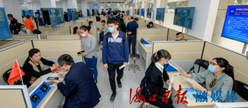 自貿港 職 等你來, 就 在海口