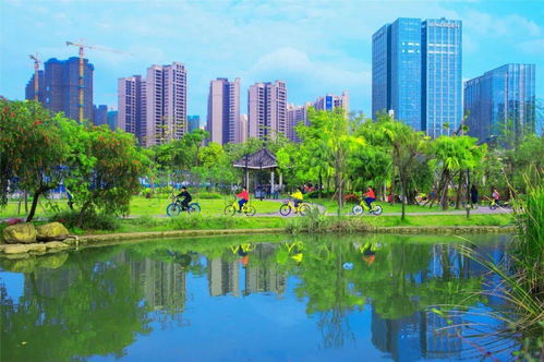 市自然資源局科學編制國土空間規劃,引領城市高質量發展