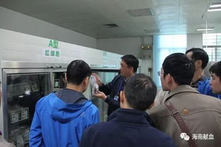 黨支部共建交流 互學互動促進步 海南省人力資源開發局就業指導處黨支部到海南省血液中心進行主題黨日活動