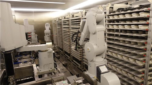 進化版出菜機系統 同時實現食品安心安全與人力削減