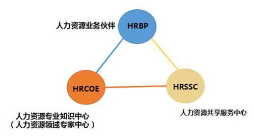 奇葩面試 花式裁員 計(jì)較薪資......你對(duì)hr到底有多少誤解