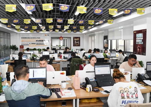 寧波人力資源服務(wù)業(yè)c位出道,這 三駕馬車 功不可沒