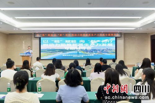 天府新區稅務局開展助推新質生產力發展專題輔導會